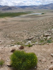 Bulunkul vu du petit col entre le village et le lac Yashilkul