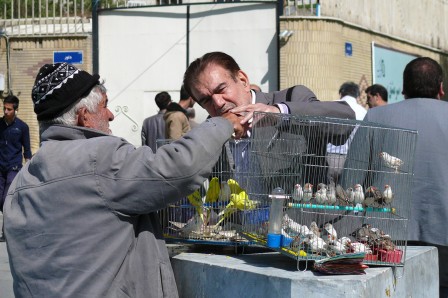 Marchand d'oiseaux devant le bazar central de Téhéran