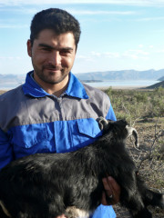 Le berger qashqai qui m'a invitée pour la pause-thé, mar. 2014