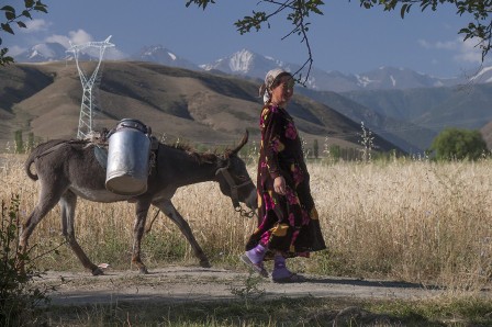 Bivouac dans un verger en montant au col Shakhristan (Tadjikistan)